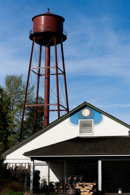 Iconic Water Tower