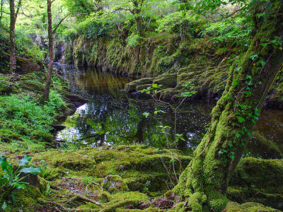 Ireland