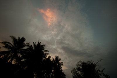 Southern Luna