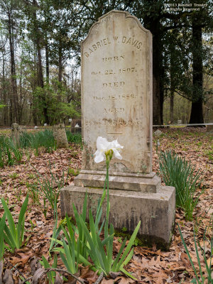 Pearl-River Methodist Church-Davis Grave.jpg