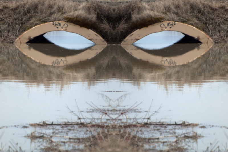 Les_yeux.jpg