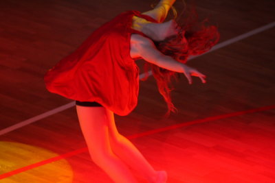 DANCE LANDSCAPE 2011