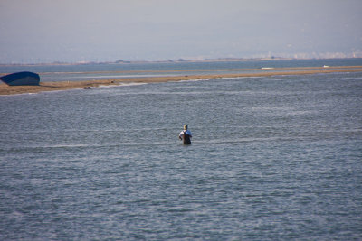 La Fira de Pins al Delta del Ebre