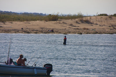 La Fira de Pins al Delta del Ebre