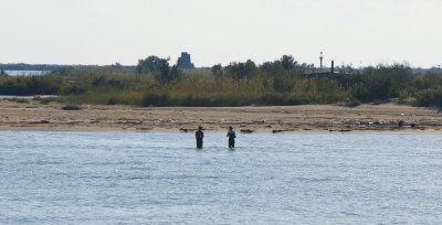 La Fira de Pins al Delta del Ebre