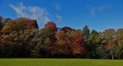 Autumn Colour In The Park.jpg