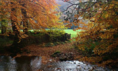 Autumn by Kempley Bridge Okehampton.jpg