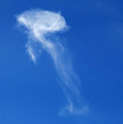 Jellyfish Cloud.