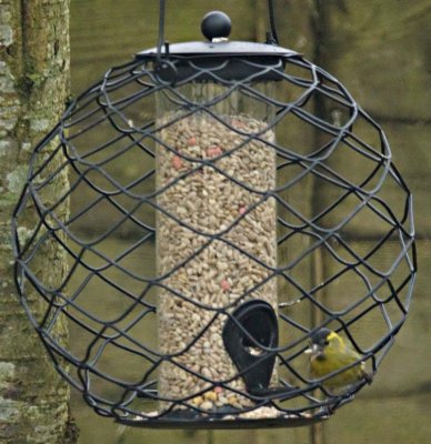 Godfinch - welcome.jpg