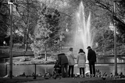 A Stroll in the park.