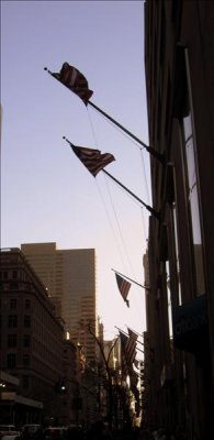 IMG_0922a.jpg