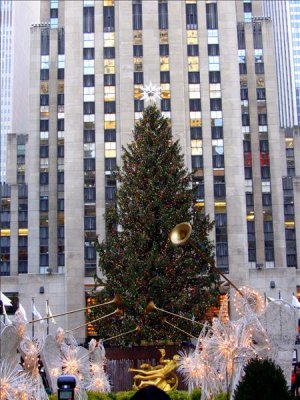 IMG_0929a.jpg