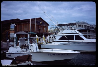 The harbor.jpg