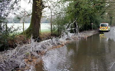 Ice forming is caused by the cars passing and the spray freezes making a different look to the hedgerow.