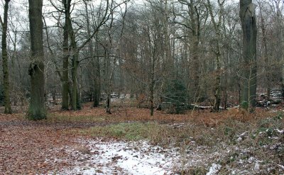 g2/55/30955/3/148355072.iWrPhOYY.jpg