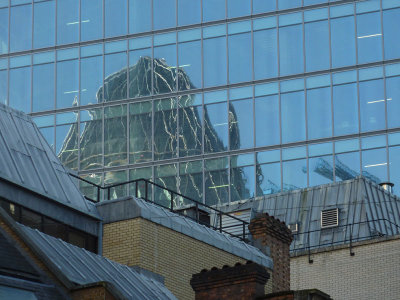Reflections of the Gerkin