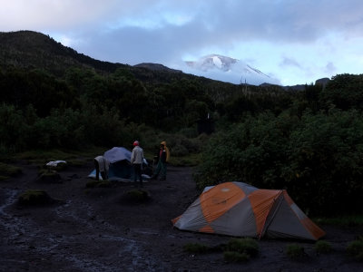 Machame Camp, first morning