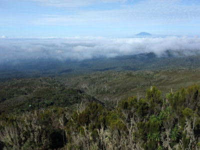 Looking back down at Machame Camp