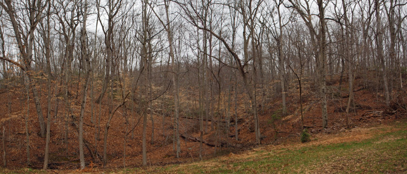 Panorama -  Trail at Blockhouse cliff park