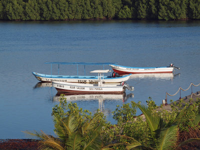 Boats of the Keur Saloum