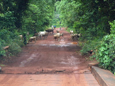 Getting off the bridge