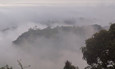 Ridge above the fog