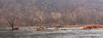 Panorama of the Potomac
