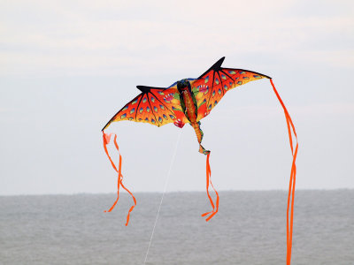 Galveston - Lets fly a kite