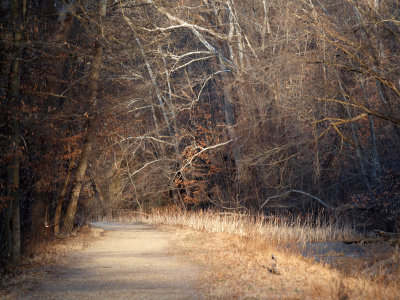 Trail disappears to the left