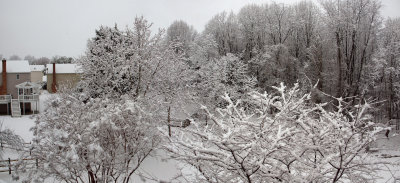 Panorama - Backyard after snow storm