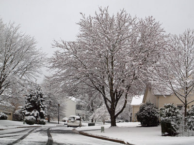 Snow storm - March 2013