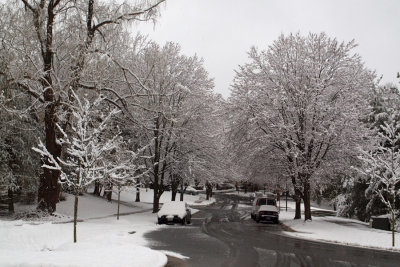 Down a neighborhood street