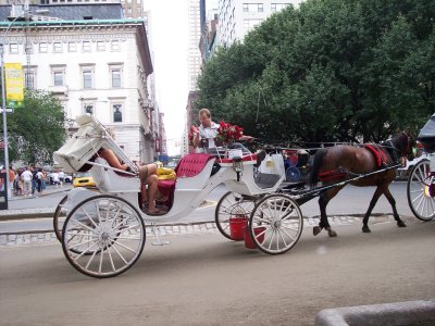 Carriage ride