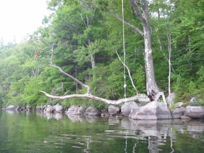 The Rope Swing at Manning #2
