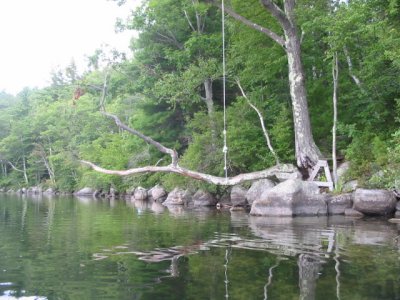 Rope Swing at Manning #3