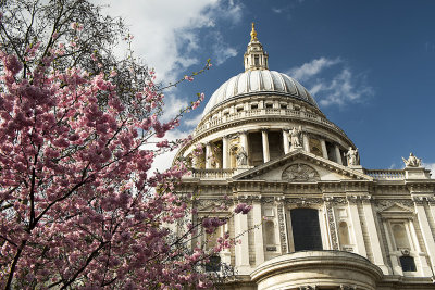 St. Paul's Cathedral dome