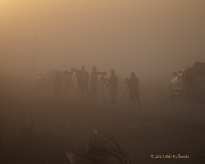 Photographers in the fog.jpg