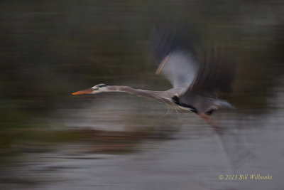 GBH in Motion.jpg