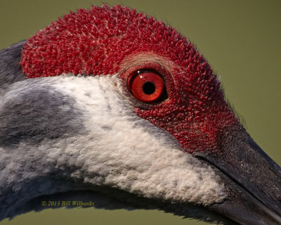 I have My Eye on You.jpg