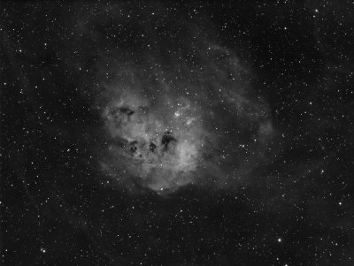 IC410 The Tadpoles