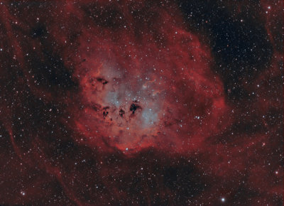 IC410 BiColor