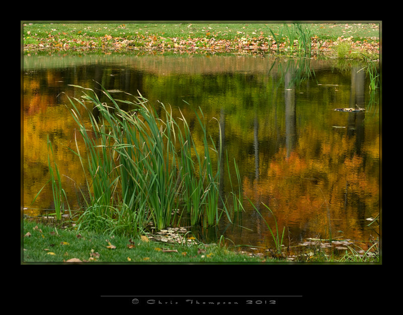 IGP0972 copy.jpg