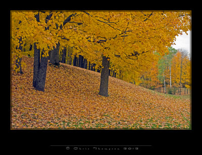 IGP0962 copy.jpg