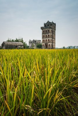 Kaiping Diaolou 开平碉楼