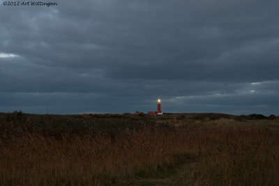 Ochtendgloren / Dawn