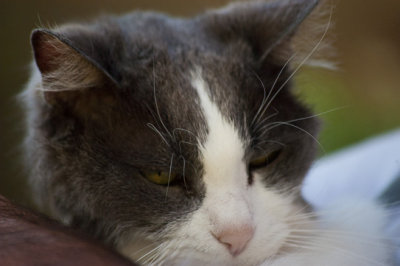 Rest in Peace, Sweet Girl - May 1995 - August 2012