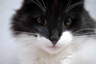 Get that friggin' camera outta my face!