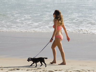 Walking the dog,  Jan 1, 2013