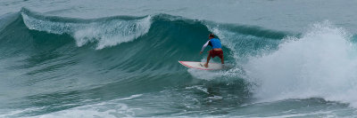 surfer dude