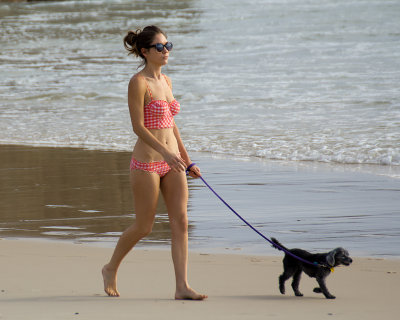 Walking the dog